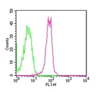 Flow Cytometry: TLR6 Antibody (86B1153.2) [FITC] [NB100-56536F] - Analysis using the FITC conjugate of NB100-56536. Staining of TLR6 in human lymphocytes using this antibody; red represents anti-TLR6 antibody.