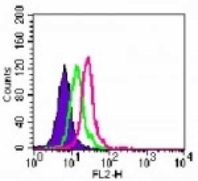 Flow Cytometry: TLR6 Antibody (86B1153.2) [PE] [NBP2-24969] - Intracellular analysis of TLR6 in Ramos cells using this antibody. 5 ug/10^6 cells. Shaded histogram represents Ramos cells without antibody; green represents isotype control (BD Pharmingen); red represents anti-TLR6 antibody.