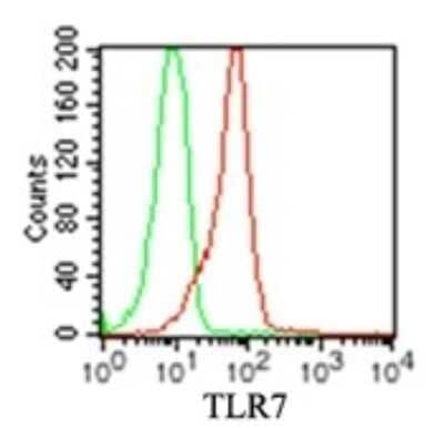 Flow Cytometry: TLR7 Antibody (4G6) - Azide and BSA Free [NBP2-80982] - Analysis of TLR7 in human monocytes using 2 ug of TLR7 monoclonal antibody (red) and 2 ug of mouse IgG1 isotype control antibody (green). TLR intracellular flow kit was used for this test, and an anti-mouse IgG PE conjugated secondary antibody. Image using the standard format of this product.