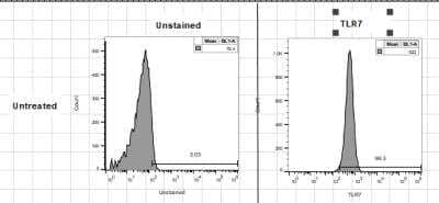 Flow Cytometry: TLR7 Antibody (4G6) [FITC] [NBP2-25274F] - B16-F10 mouse melanoma cell line. Flow Cytometry image submitted by a verified customer review.