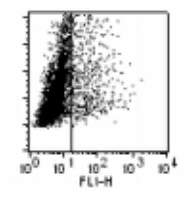 Flow Cytometry: TLR8 Antibody (303F1.14) [DDX0480P-100] - Facs staining of TLR8-transfected 293T cellswith 303F1