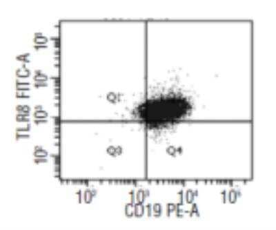 Flow Cytometry: TLR8 Antibody (303F1.14) [DDX0480P-100] - TLR8 expression on B-CLL(Arvaniti E et al, 2011)