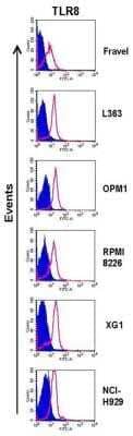 Flow Cytometry: TLR8 Antibody (44C143) - Azide Free [NBP2-77073] - Expression of TLR8 in Fravel, L363, OPM1, RPMI8226, XG1, and NCI-H929 as determined by flow cytometry. HCMLs were stained using an intracellular staining protocol with TLR8 antibodies followed by relevant secondary fluorescent-conjugated antibodies. Filled histograms (purple) represent the isotype controls and the open histograms (red) indicate TLR8. Data are representative for analysis of >=2 independent experiments. Image collected and cropped by CiteAb from the following publication (//doi.org/10.1371/journal.pone.0060671) licensed under a CC-BY license. Image from the standard format of this antibody.