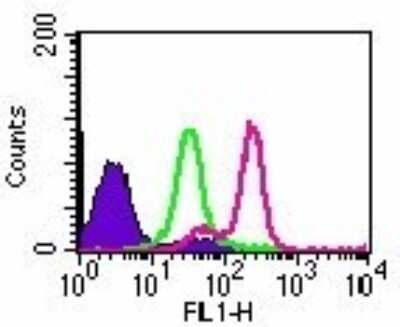 Flow Cytometry: TLR9 Antibody (26C593.2) - Azide Free [NBP2-24863] - Intracellular flow analysis of TLR9 in Ramos cells using 0.5 ug of this antibody. Shaded histogram represents Ramos cells without antibody; green represents isotype control; purple represents anti-TLR9 antibody.