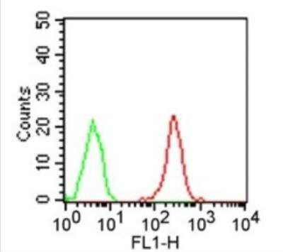 Flow Cytometry: TLR9 Antibody (26C593.2) - Azide Free [NBP2-24863] - Intracellular flow cytometric analysis of TLR9 FITC in human B cells using 1ug/10^6 cells of NBP2-24908. Cells were primarily stained with PE-conjugated CD19 antibody. Cells were then fixed and permeabilized and stained with 1ug of either isotype control