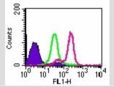 Flow Cytometry: TLR9 Antibody (26C593.2) - Azide Free [NBP2-24863] - Analysis using the Azide Free version of NBP2-24729. Staining of TLR9 in Ramos cells using 0.5 ug of this antibody. Shaded histogram represents Ramos cells without antibody; green represents isotype control; purple represents anti-TLR9 antibody.