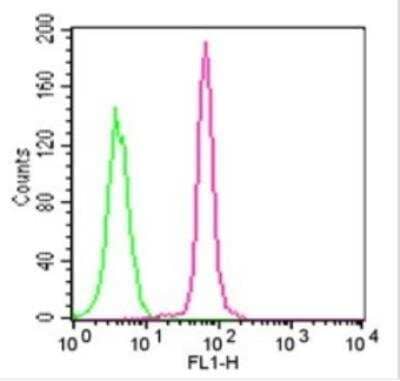 Flow Cytometry: TLR9 Antibody (26C593.2) - Azide Free [NBP2-24863] - Analysis using the FITC conjugate of NBP2-24729. Staining of TLR9 in Ramos cells using 0.5 ug of this antibody. Green represents isotype control ; red represents anti-TLR9 antibody. TLR intracellular flow kit was used for this test.