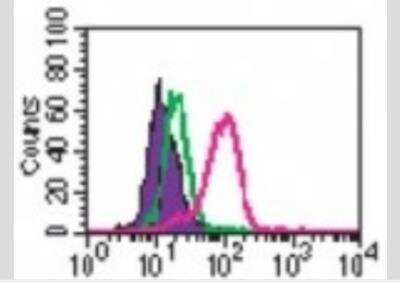 Flow (Intracellular): TLR9 Antibody (26C593.2) - Azide Free [NBP2-24863] - Analysis using the PE conjugate of NBP2-24729. Staining of TLR9 in human PBMCs using 0.2 ug of this antibody. Shaded histogram represents cells without antibody; green represents a mouse IgG1-PE isotype control ; red represents anti-TLR9 antibody.