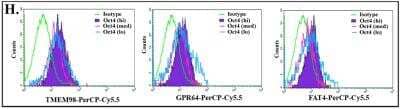 Flow Cytometry TMEM98 Antibody - BSA Free