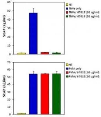Blocking/Neutralizing: TNF-alpha Antibody (6N1E7) - Azide Free [NBP2-27224] - Validation of inhibitory effects of TNF alpha antibody on TNF alpha activity in the cell line. NF-kB/SEAPorter cells were plated in 96-well plate at 5 x 10^4 cells per well for 16 h. Cells were pre-incubated with TNF alpha antibody at 10 and 20 ug/ml for 1 hr, then treated with 10 ng/ml TNF alpha or 10 ng/ml PMA. After 24h, the secreted alkaline phosphatase (SEAP) was analyzed using the SEAPorterAssay Kit .