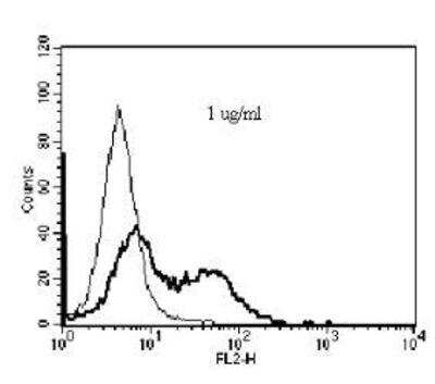 Flow Cytometry: TNFRSF22 Antibody (Lucy-1) [NBP1-97591] - analysis of cells with MAb to DcTRAIL-R2 (Lucy-1). Method: HEK 293T cells were mock transfected (thin line) or transfected with an expression plasmid enabling surface expression of the extracellular domain of mouse DcTRAIL-R2 (thick line). Cells (5x10^5) were incubated on ice for 30 min. in 50ul FACS buffer (PBS, 5% fetal calf serum, 0.02% azide) containing 1ug/ml of monoclonal antibody to DcTRAIL-R2 (Lucy-1). After washing in FACS buffer, PE-conjugated antibody to rat IgG was added. Cells were incubated on ice for 30 min., washed and then analyzed by flow cytometry.