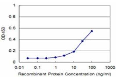 ELISA: TOPORS Antibody (5G9) [H00010210-M14] - Detection limit for recombinant GST tagged TOPORS is approximately 3ng/ml as a capture antibody.