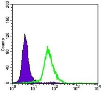 Flow Cytometry: TORC2 Antibody (5B10) [NBP1-51665] - Flow cytometric analysis of Hela cells using CRTC2 mouse mAb (green) and negative control (purple).