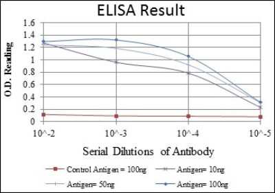ELISA: TORC3/CRTC3 Antibody (5G9) [NBP2-37635] - Red: Control Antigen (100ng); Purple: Antigen (10ng); Green: Antigen (50ng); Blue: Antigen (100ng);