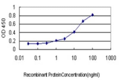 Sandwich ELISA: TPMT Antibody (2H3) [H00007172-M03] - Detection limit for recombinant GST tagged TPMT is approximately 0.03ng/ml as a capture antibody.