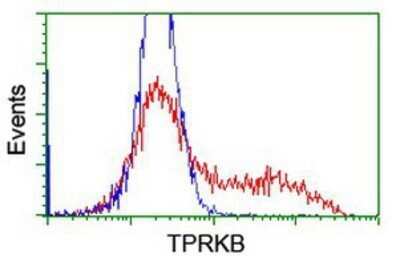 Flow Cytometry: TPRKB Antibody (OTI3H3) - Azide and BSA Free [NBP2-74574] - HEK293T cells transfected with either overexpression plasmid (Red) or empty vector control plasmid (Blue) were immunostaining by anti-TPRKB antibody, and then analyzed by flow cytometry.