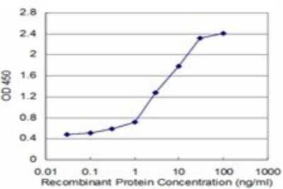 ELISA: TPT1/TCTP Antibody (2C4) [H00007178-M03] - Detection limit for recombinant GST tagged TPT1 is approximately 0.3ng/ml as a capture antibody.