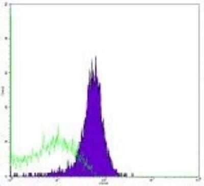 Flow Cytometry: TRAIL/TNFSF10 Antibody (RIK-2) - Azide and BSA Free [NBP2-80990] - Analysis of Biotin conjugate of NB100-77865. Staining of human TRAIL transfected cells withAnti-Human CD253 (TRAIL) Biotin followed by Streptavidin PE . Total viable cells were used for analysis.