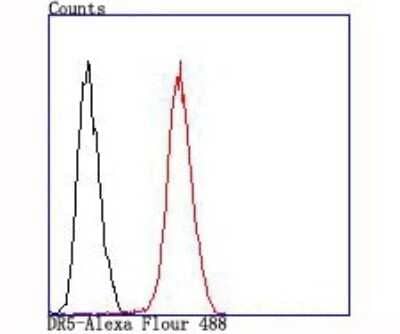 Flow Cytometry: TRAILR2/TNFRSF10B Antibody (JA03-38) [NBP2-67225] - Flow cytometric analysis of SW480 cells with TRAILR2/TNFRSF10B antibody at 1/100 dilution (red) compared with an unlabeled control (cells without incubation with primary antibody; black).