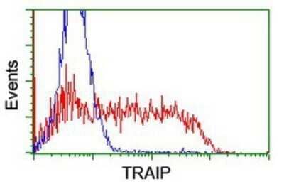 Flow Cytometry: TRAIP Antibody (OTI2D4) - Azide and BSA Free [NBP2-74580] - HEK293T cells transfected with either overexpression plasmid (Red) or empty vector control plasmid (Blue) were immunostaining by anti-TRAIP antibody, and then analyzed by flow cytometry.