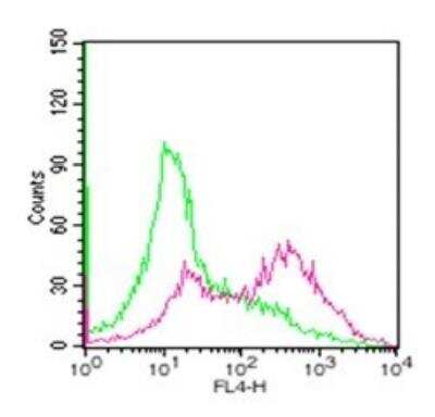 Flow Cytometry: TRANCE/TNFSF11/RANK L Antibody (12A380) [Alexa Fluor (R) 647] [NBP2-27390] - Cell surface staining of RANKL in untreated mouse splenocytes (green) and 72 hour ConA-stimulated mouse splenocytes (red) using this antibody. 1 ug of RANKL antibody was used for this assay.