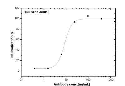 Neutralization: TRANCE/TNFSF11/RANK L Antibody (R001) [NBP2-89956] - Recombinant Human RANKL/OPGL/TNFSF11/CD254 stimulates osteoclast-like cell formation in RAW 264.7 mouse macrophages. Osteoclast-like cell formation elicited by Recombinant Human IL4 (0.2 ng/mL) is neutralized by increasing concentrations of Human IL4R Monoclonal Antibody . The IC50 is typically 4-16 ng/mL.