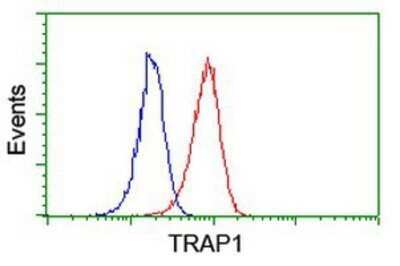 Flow Cytometry: TRAP1 Antibody (OTI1H8) - Azide and BSA Free [NBP2-74592] - Analysis of Jurkat cells, using anti-TRAP1 antibody, (Red), compared to a nonspecific negative control antibody (Blue).