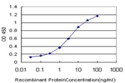 ELISA: TRAP220/MED1 Antibody (1G3) [H00005469-M02] - Detection limit for recombinant GST tagged PPARBP is approximately 0.1ng/ml as a capture antibody.