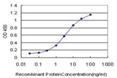 Sandwich ELISA: TRAP220/MED1 Antibody (2H6) [H00005469-M05] - Detection limit for recombinant GST tagged PPARBP is approximately 0.3ng/ml as a capture antibody.