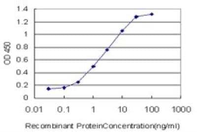 ELISA: TRAP220/MED1 Antibody (3F6) [H00005469-M06] - Detection limit for recombinant GST tagged PPARBP is approximately 0.03ng/ml as a capture antibody.