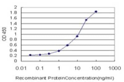 Sandwich ELISA: TRAPPC2 Antibody (2E10) [H00006399-M01] - Detection limit for recombinant GST tagged TRAPPC2 is approximately 0.3ng/ml as a capture antibody.