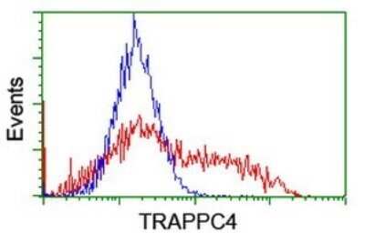 Flow Cytometry: TRAPPC4 Antibody (OTI2G8) - Azide and BSA Free [NBP2-74594] - Analysis of HEK293T cells transfected with either overexpress plasmid(Red) or empty vector control plasmid(Blue) were immunostaining by TRAPPC4 antibody, and then analyzed by flow cytometry.