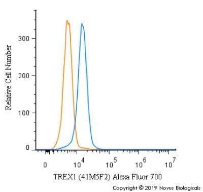 Flow Cytometry: TREX1 Antibody (41M5F2) [Alexa Fluor® 700] [NBP2-22394AF700] - An intracellular stain was performed on HeLa cells with TREX1 [41M5F2] Antibody NBP2-22394AF700 (blue) and a matched isotype control (orange). Cells were fixed with 4% PFA and then permeabilized with 0.1% saponin. Cells were incubated in an antibody dilution of 5 ug/mL for 30 minutes at room temperature. Both antibodies were conjugated to Alexa Fluor 700.