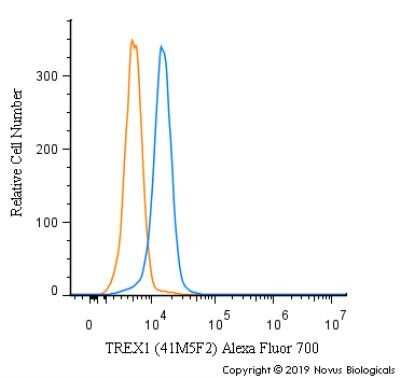 Flow Cytometry: TREX1 Antibody (41M5F2) - Azide and BSA Free [NBP2-80992] - An intracellular stain was performed on HeLa cells with TREX1 [41M5F2] Antibody NBP2-22394AF700 (blue) and a matched isotype control (orange). Cells were fixed with 4% PFA and then permeabilized with 0.1% saponin. Cells were incubated in an antibody dilution of 5 ug/mL for 30 minutes at room temperature. Both antibodies were directly conjugated to Alexa Fluor 700.