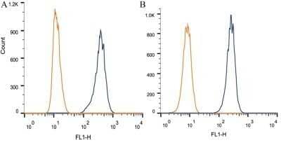 Flow Cytometry: TRF-1 Antibody (57-6) - Azide and BSA Free [NBP2-80993] - Intracellular flow cytometric staining of 1 x 10^6 CHO (A) and HEK-293 (B) cells using TRF1 antibody (dark blue). Isotype control shown in orange. An antibody concentration of 1 ug/1x10^6 cells was used. Image from the standard format of this antibody.