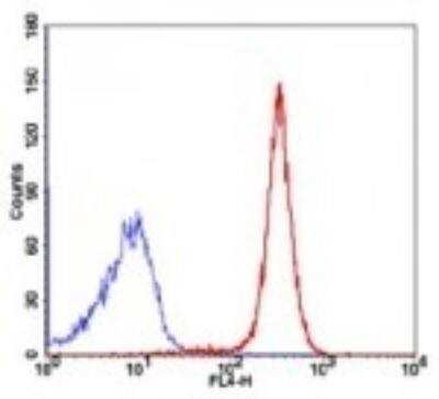 Flow Cytometry: TRF-2 Antibody (4A794.15) [Alexa Fluor® 647] [NB100-56506AF647] - Analysis using the Alexa Fluor (R) 647 conjugate. Staining of TRF2 in 10^6 human Jurkat cells using 10 uL (0.1 ug). The blue histogram represents isotype control and red represents anti-TRF2.