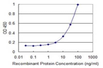 Sandwich ELISA: TRIB2 Antibody (1D11) [H00028951-M11] - Detection limit for recombinant GST tagged TRIB2 is 1 ng/ml as a capture antibody.