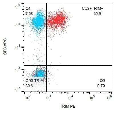 Flow Cytometry: TRIM Antibody (TRIM-04) [NB500-485] - Saining of human peripheral blood with  mAb TRIM-04 PE