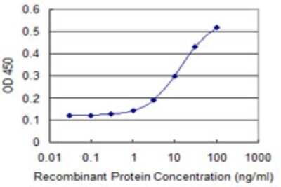 Sandwich ELISA: TRIM17 Antibody (2D3) [H00051127-M03] - Detection limit for recombinant GST tagged TRIM17 is 1 ng/ml as a capture antibody.