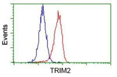 Flow Cytometry: TRIM2 Antibody (2B10) [NBP2-02928] - Analysis of Hela cells, using anti-TRIM2 antibody, (Red), compared to a nonspecific negative control antibody (Blue).