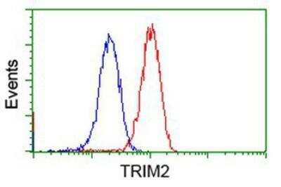 Flow Cytometry: TRIM2 Antibody (2B10) [NBP2-02928] - Analysis of Jurkat cells, using anti-TRIM2 antibody, (Red), compared to a nonspecific negative control antibody (Blue).