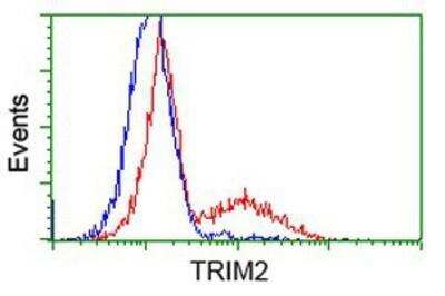 Flow Cytometry: TRIM2 Antibody (2B10) [NBP2-02928] - HEK293T cells transfected with either overexpression plasmid (Red) or empty vector control plasmid (Blue) were immunostained by anti-TRIM2 antibody, and then analyzed by flow cytometry.