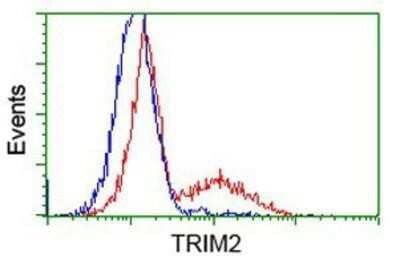 Flow Cytometry: TRIM2 Antibody (OTI2B10) - Azide and BSA Free [NBP2-74606] - HEK293T cells transfected with either overexpression plasmid (Red) or empty vector control plasmid (Blue) were immunostaining by anti-TRIM2 antibody, and then analyzed by flow cytometry.