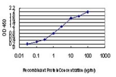 Sandwich ELISA: TRIM25 Antibody (2B12) [H00007706-M01] - Detection limit for recombinant GST tagged TRIM25 is approximately 0.03ng/ml as a capture antibody.
