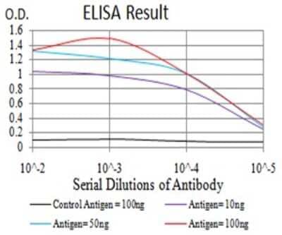 ELISA: TRIM25 Antibody (5B5B10) [NBP2-61820] - Black line: Control Antigen (100 ng);Purple line: Antigen (10ng); Blue line: Antigen (50 ng); Red line:Antigen (100 ng)