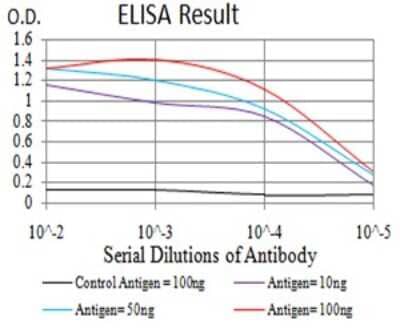 ELISA: TRIM25 Antibody (5B5B12) [NBP2-61814] - Black line: Control Antigen (100 ng);Purple line: Antigen (10ng); Blue line: Antigen (50 ng); Red line:Antigen (100 ng)