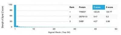 Protein Array: TRIM27 Antibody (PCRP-TRIM27-1B3) [NBP3-07415] - Analysis of Protein Array containing more than 19,000 full-length human proteins using TRIM27 Mouse Monoclonal Antibody (PCRP-TRIM27-1B3).