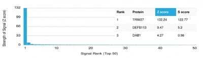 Protein Array: TRIM27 Antibody (PCRP-TRIM27-1B3) [NBP3-08579] - Analysis of Protein Array containing more than 19,000 full-length human proteins using TRIM27 Mouse Monoclonal Antibody (PCRP-TRIM27-1B3).