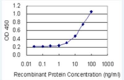 ELISA: TRIM62 Antibody (4A4) [H00055223-M05-100ug] - Detection limit for recombinant GST tagged TRIM62 is 0.3 ng/ml as a capture antibody.