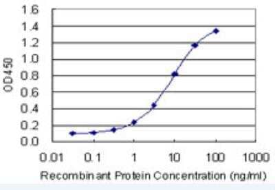 ELISA: TRPC1 Antibody (1E4) [H00007220-M03-50ug] - Detection limit for recombinant GST tagged TRPC1 is 0.1 ng/ml as a capture antibody.